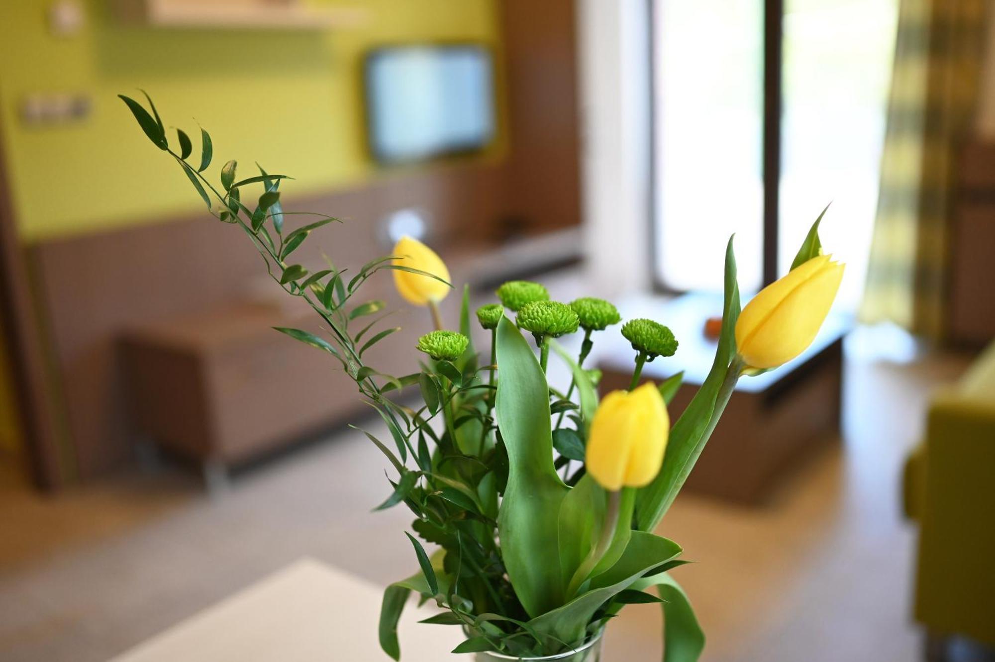 Hotel Jirinka โดลนี โมราวา ภายนอก รูปภาพ